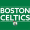 NBA Boston Celtics Standard - Green Apple AirPods Pro Skin